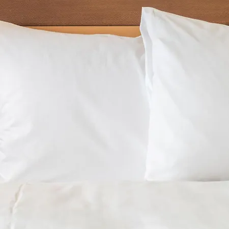Crowne Plaza Zürich, An Ihg 4*