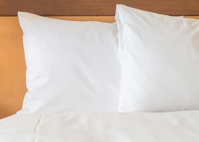 Crowne Plaza Zürich, An Ihg 4*