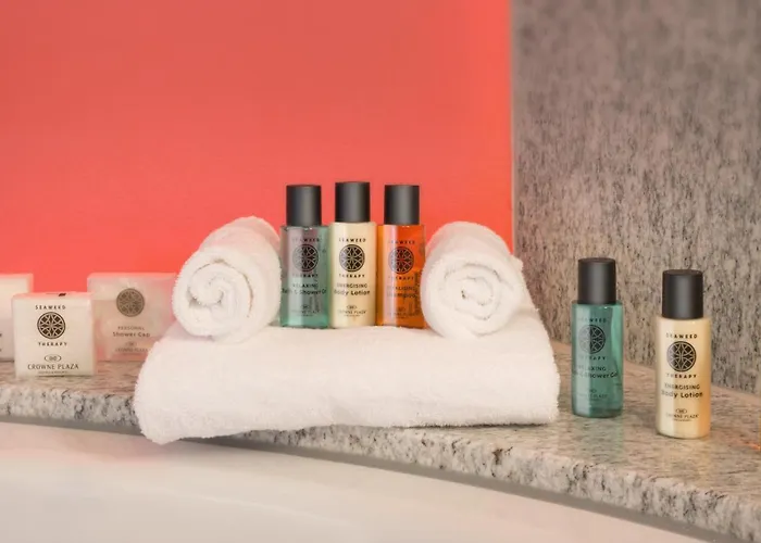 Hotel Crowne Plaza Zürich, An Ihg 4*